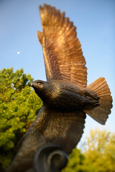 UNT Eagle Statue.