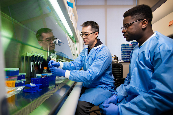 Yang lab at UNT